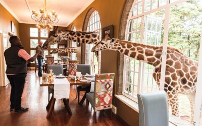 Hôtel insolite au Kenya: le Giraffe Manor